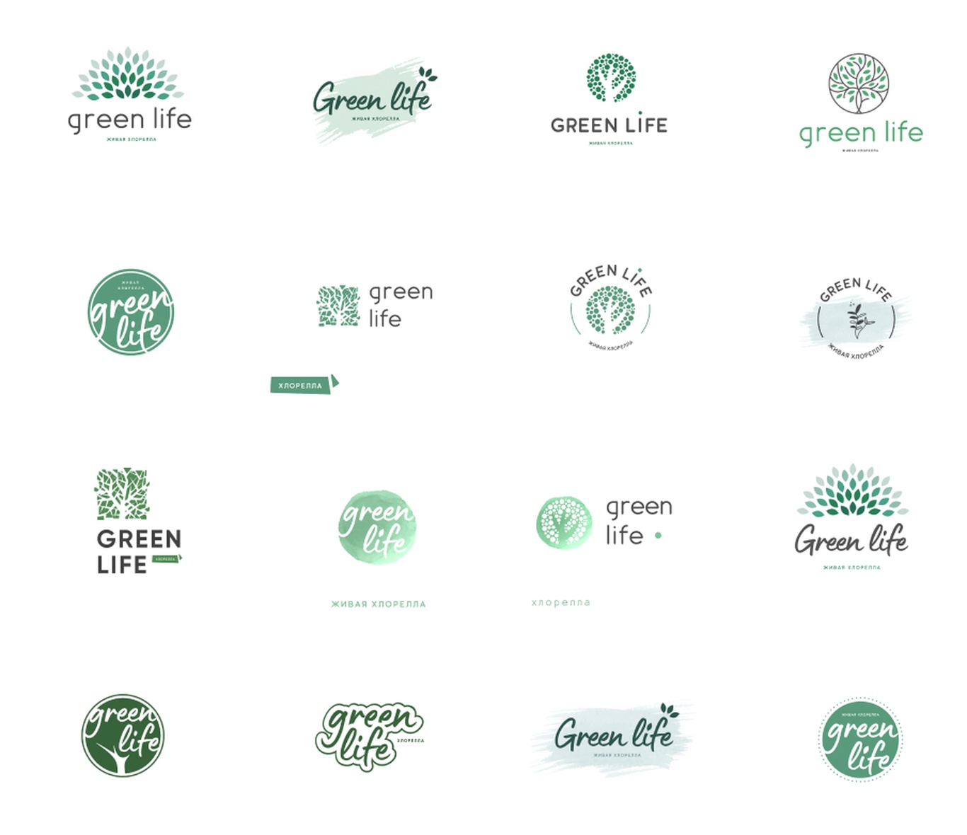 Мы начали с разработки логотипа. Цветовая гамма передает натуральность, развитие, здоровую жизнь и энергию.