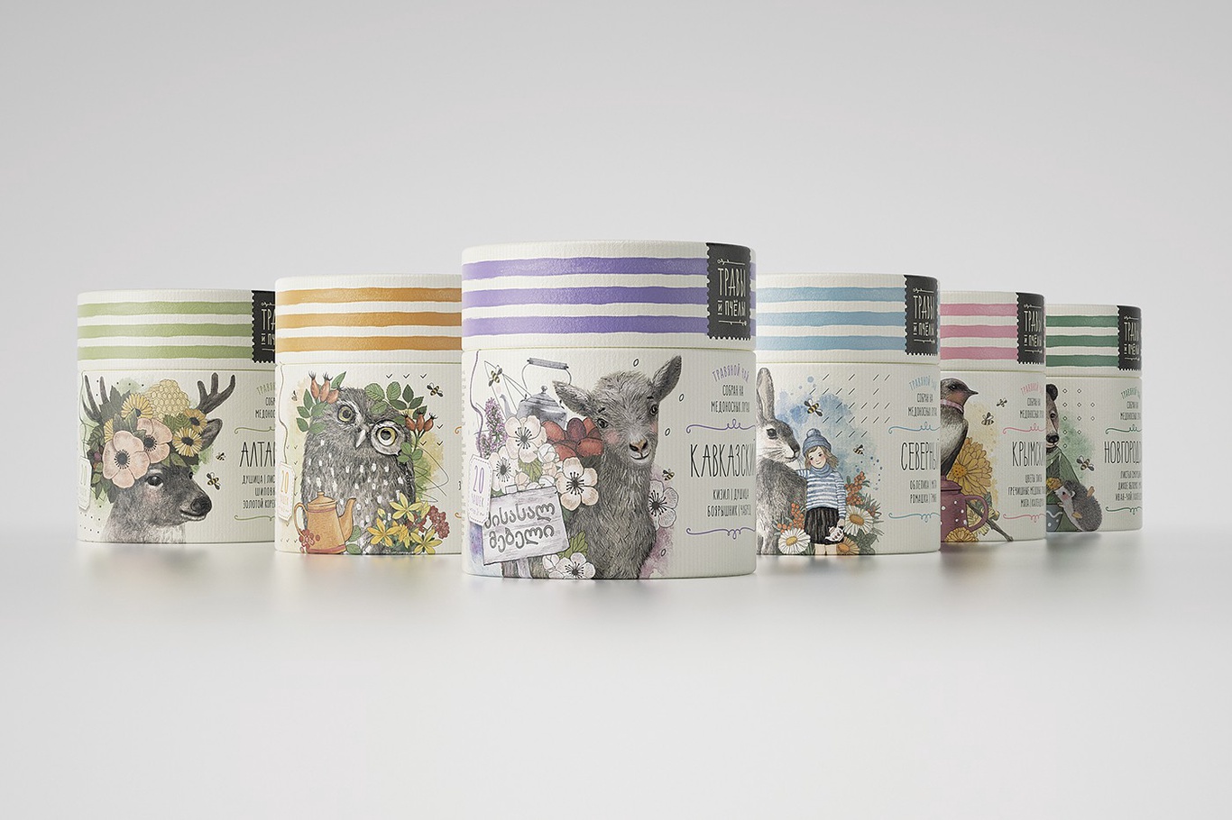 Дизайн упаковки чая "Травы и пчелы"