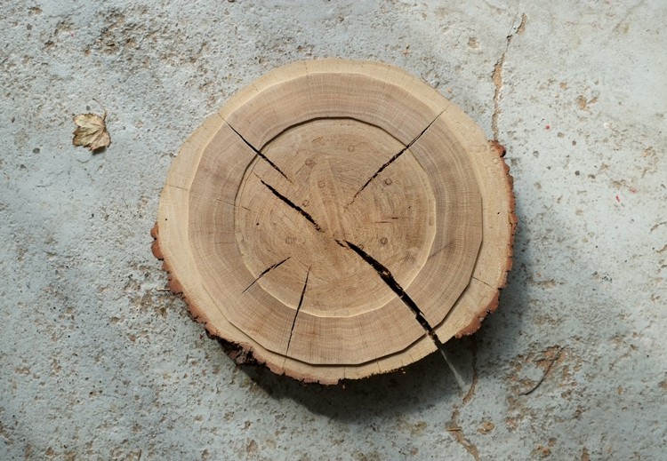 Деревянный диск, используемый для строительства театра